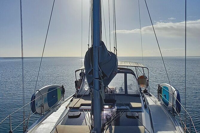 3 Hour Boat Trip to Ponta da Piedade - An In-Depth Look at the 3-Hour Boat Trip to Ponta da Piedade