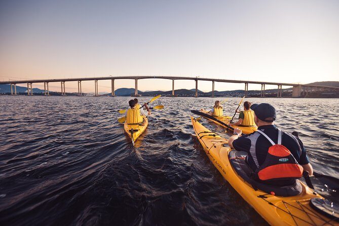 3-Hour Bruny Island Cruise from Adventure Bay, Bruny Island - The Value Proposition