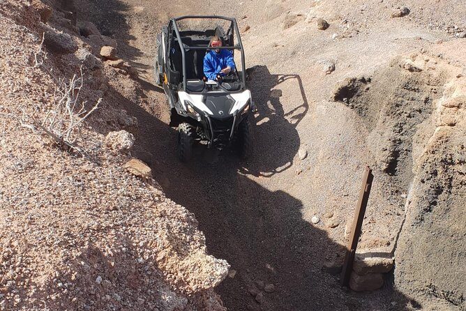 3-hour Buggy Tour from Costa Teguise - Who Should Consider This Tour?