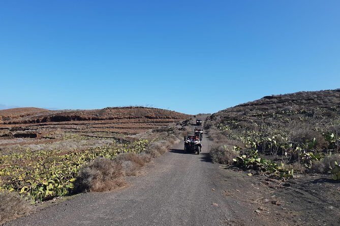 3-hour Buggy Tour from Costa Teguise - Final Thoughts
