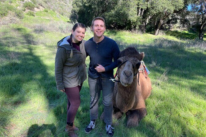 3 Hour Camel Trek into the Forest and Ranch in California - Key Points