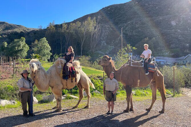 3 Hour Camel Trek into the Forest and Ranch in California - What Sets This Tour Apart