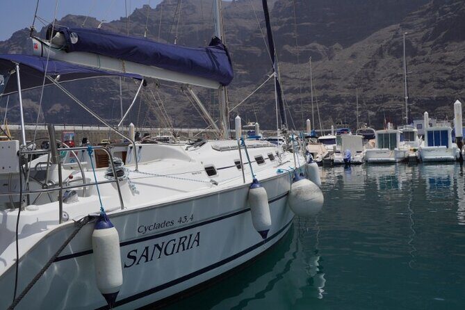 3-Hour Cetacean Watching and Snorkeling Tour in Tenerife - An Honest Look at a Unique Tenerife Experience