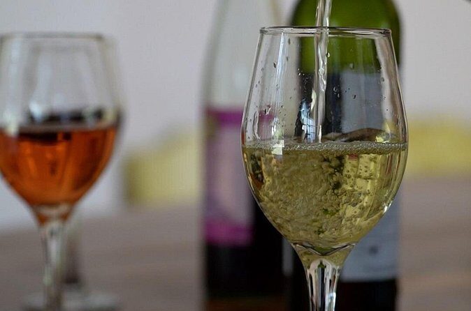 3-Hour Chateau Defay Vineyard Tour in Central America - Final Note