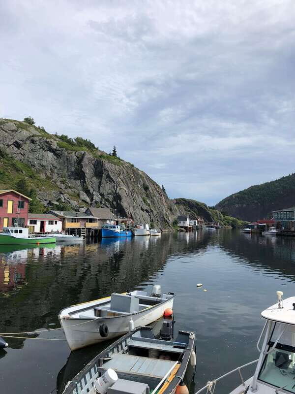3 hour City Tour of St. John's, small group up to ten quests - What to Expect During Your Tour