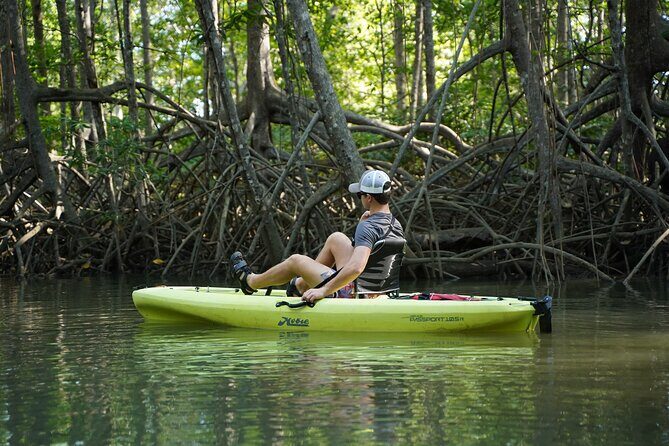3-Hour Damas Mangrove Kayak Tour - Key Points