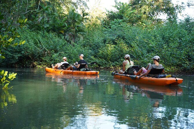 3-Hour Damas Mangrove Kayak Tour - The Location and Its Unique Appeal