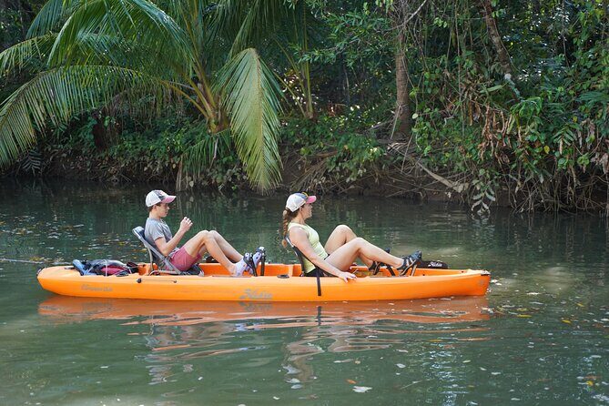 3-Hour Damas Mangrove Kayak Tour - The Overall Experience