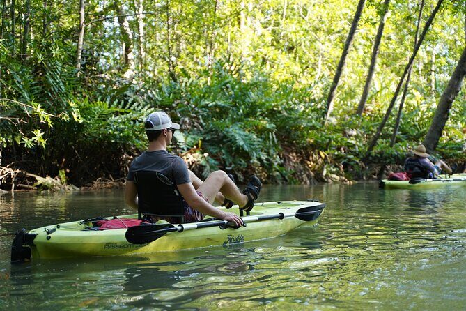 3-Hour Damas Mangrove Kayak Tour - Value for Money