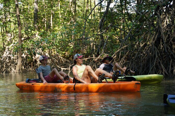 3-Hour Damas Mangrove Kayak Tour - Cancellation and Weather Considerations