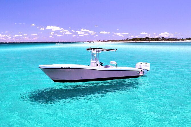 3 Hour Dolphin Tour and Snorkeling in Shell Island - A Close-Up Look at the 3 Hour Dolphin Tour and Snorkeling in Shell Island