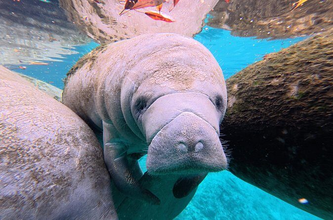 3 Hour Double Kayak Rental - Frequently Asked Questions (FAQs)