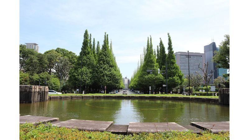 3-Hour E-Bike Experience in Central Tokyo: Palace & Hidden Gems - Ginkgo Avenue and the ride back