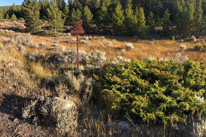 3-Hour E-Bike Tour of Trail of the Silver Kings (Old Mine Tour) - FAQs