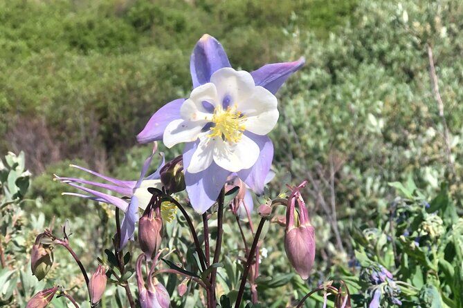 3- Hour E-Bike Tour of Turquoise Lake - Who This Tour Suits Best