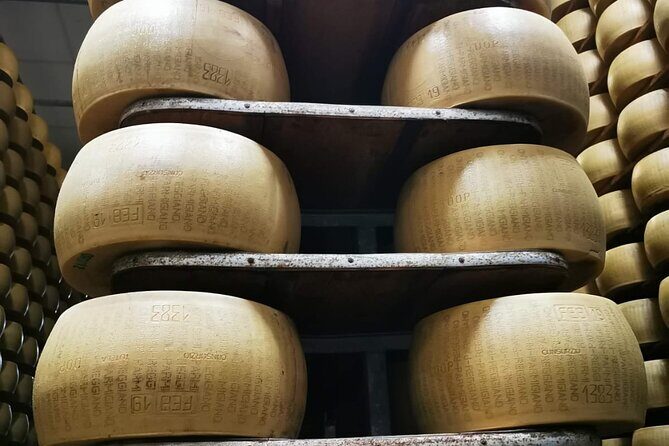 3 Hour E-bike Tour with Parmesan and Balsamic Vinegar - A Scenic Ride Through Modena’s Culinary Heart