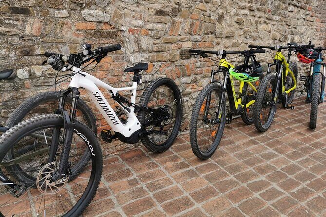 3 Hour E-bike Tour with Parmesan and Balsamic Vinegar - Key Points
