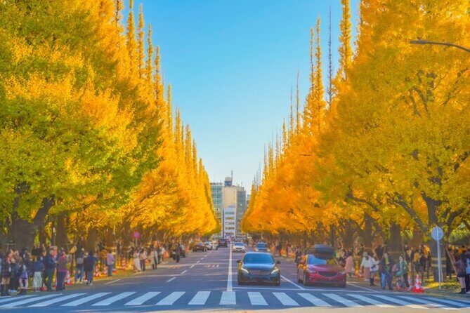 3-hour electric bicycle tour of Tokyo's famous sights - Final thoughts