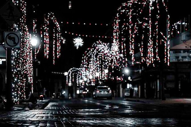 3 hour Enchanted River Lights Night Walk San Antonio Texas - Final Thoughts: Is It Worth It?