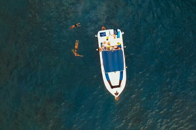3-hour excursion to Puerto Colón Adeje to see whales - Key Points