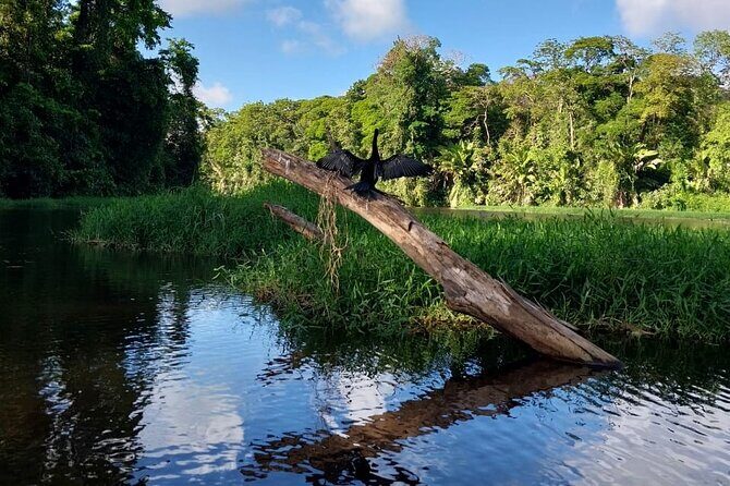 3-hour experience through the Tortuguero canals - FAQ