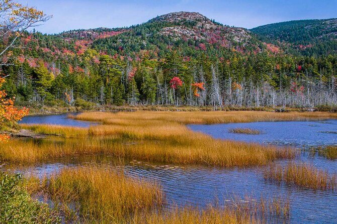 3 Hour Fiord, Mansions, Rocky Coastline - FAQ