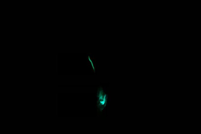 3 hour Glow Worm Sunset Cruise from Providenciales - A Detailed Look at the Glow Worm Sunset Cruise