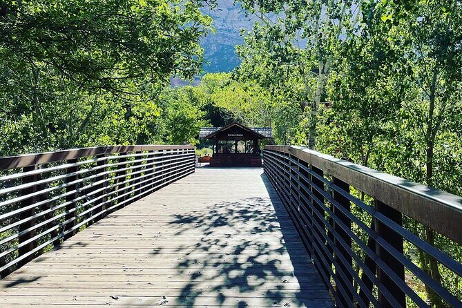 3 Hour Guided E Bike Tour in Zion National Park - An In-Depth Look at the Zion E-Bike Tour
