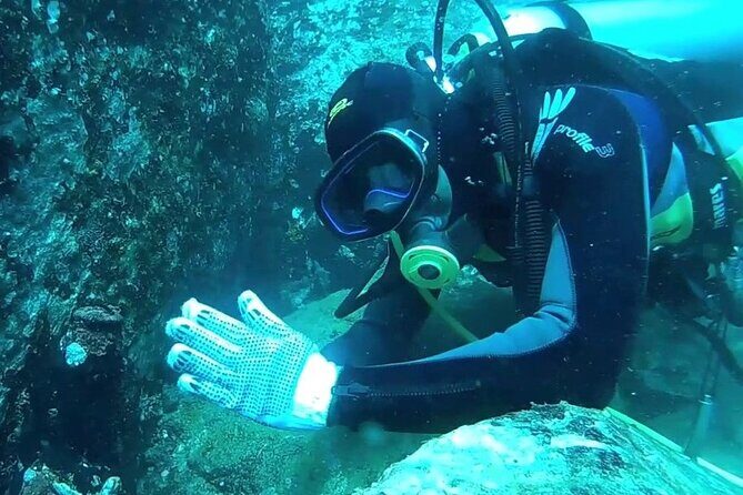 3 Hour Guided Scuba Diving in Trincomalee - Discover the Underwater World of Trincomalee in Just Three Hours