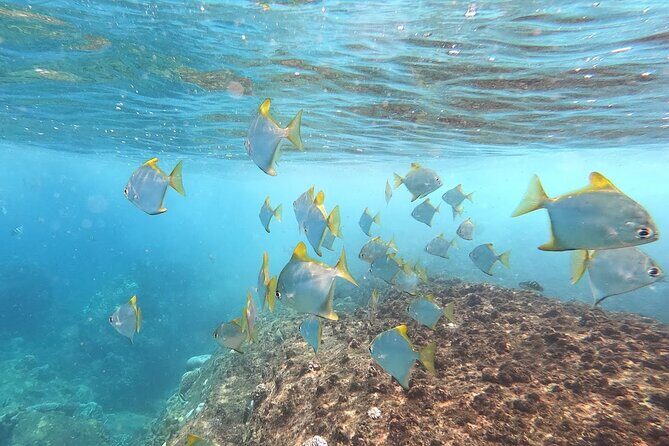 3 Hour Guided Scuba Diving in Trincomalee - Final Thoughts