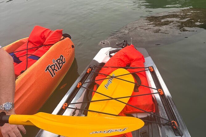 3 Hour Guided Single Kayak Adventure - Key Points