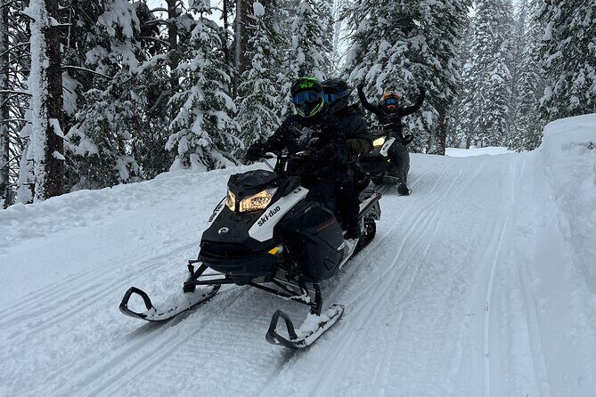 3 Hour Guided Snowmobile Trail Adventure - The Authentic Experience