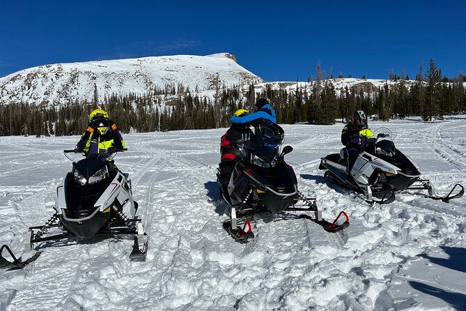 3 Hour Guided Snowmobile Trail Adventure - Final Thoughts: Is It Worth It?