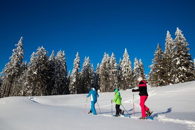 3-Hour Guided Snowshoeing Adventure in the Slovenian Alps - Discover the Slovenian Alps on a Snowshoe Adventure