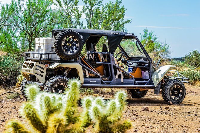 3 Hour Guided TomCar ATV Experience in Sonoran Desert - Who Should Consider This Tour?