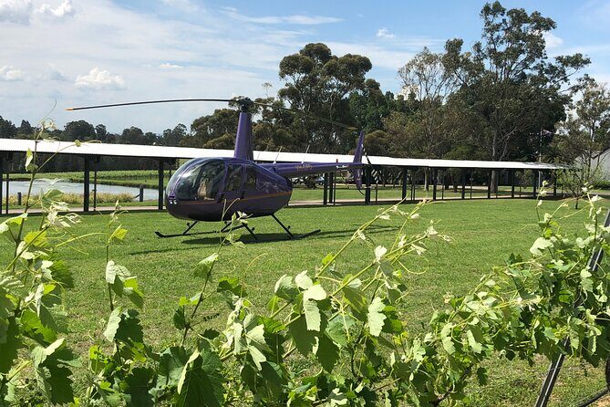 3 Hour Helicopter Wine Tasting Tour in Hunter Valley - An Unforgettable Way to Explore Hunter Valley’s Vineyards