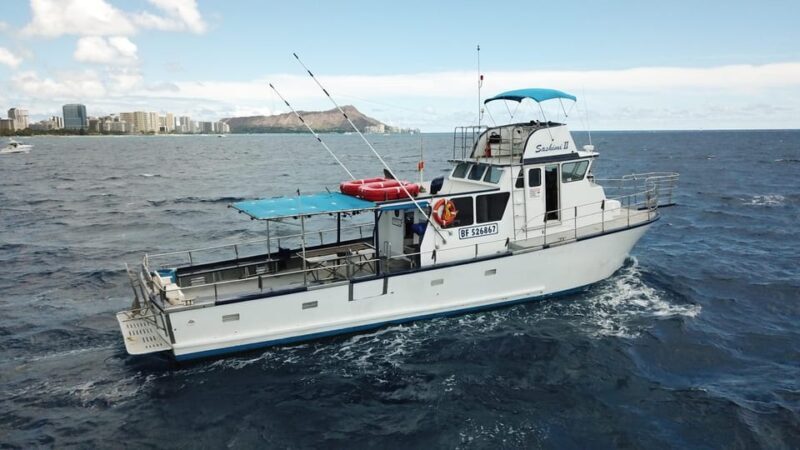 3-Hour Honolulu Bottom Fishing Adventure - Discover the 3-Hour Honolulu Bottom Fishing Adventure