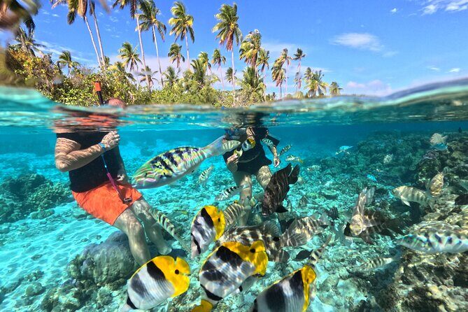 3 Hour JetSki Excursion around Taha'a - Detailed Review of the 3-Hour JetSki Excursion around Tahaa