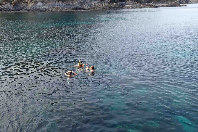 3-Hour Kayak and Snorkeling Experience in Batemans Bay - Analyzing Value: Price, Experience, and What You Get