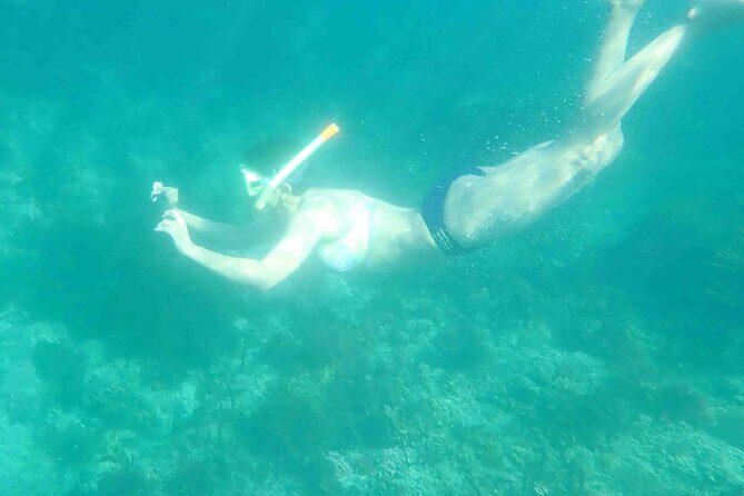3-Hour Kayak and Snorkeling Experience in Batemans Bay - The Sum Up: Who Should Join This Tour?