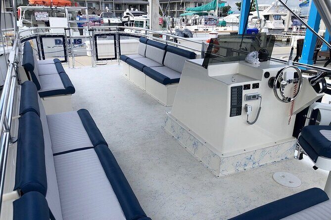 3 Hour Keewaydin Island Shelling Adventure - A Detailed Look at the Keewaydin Island Shelling Adventure