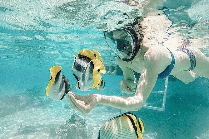 3-hour Lagoon Snorkeling Tour - Shared Tour - Key Points