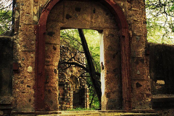 3-Hour Mehrauli Archaeological Park Ruins Walking Tour Delhi - The Sum Up: Is This Tour Worth It?
