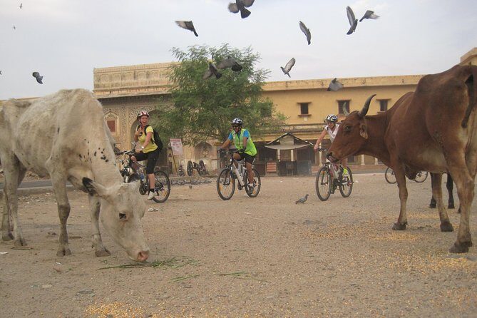 3-Hour Morning Bike Tour of Jaipur - FAQs