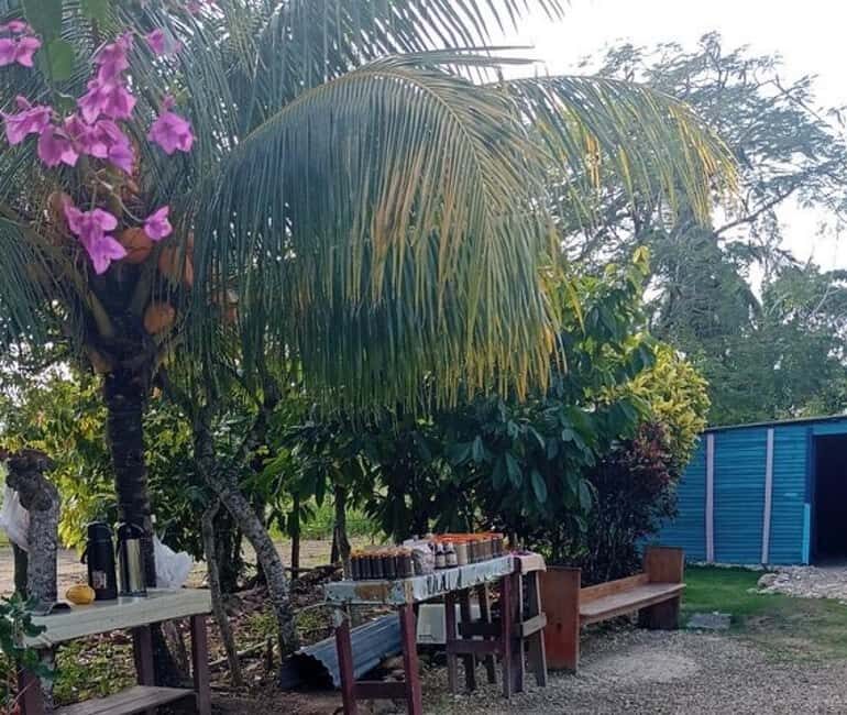 3-Hour Panoramic Tour of Punta Cana with Artisan Market - Explore the True Spirit of Punta Cana in Three Hours