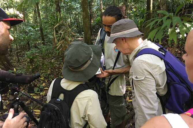 3-Hour Private Birdwatching Experience in Uvita / Ojochal - A Closer Look at the 3-Hour Private Birdwatching Experience in Uvita / Ojochal