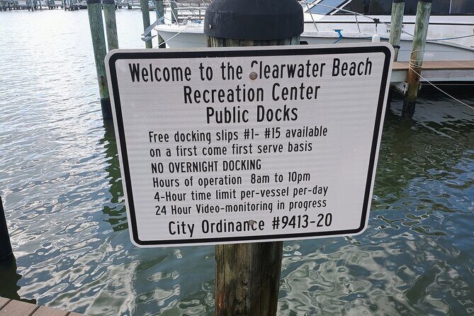 3-Hour Private Clearwater Beach Adventure  Dolphins & Sandbars - A Detailed Breakdown of the Itinerary