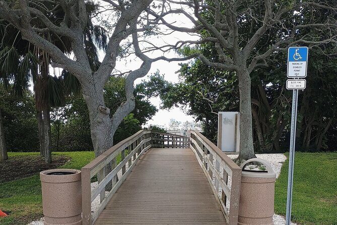 3-Hour Private Clearwater Beach Adventure  Dolphins & Sandbars - The Sum Up