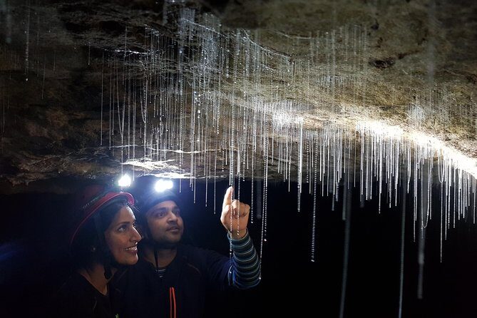3-Hour Private Photography Tour in Waitomo Caves - Key Points