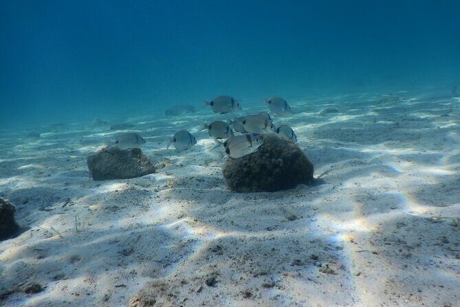 3 Hour Private Scuba Diving Experience - Introduction: Exploring Athens from a New Perspective